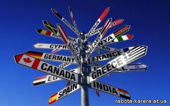 предложения работы